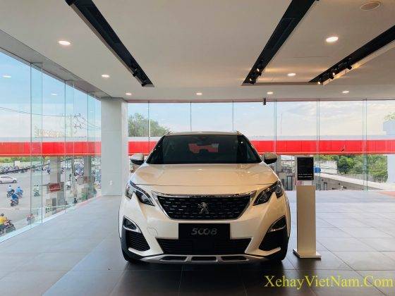 peugeot-5008-truong-chinh