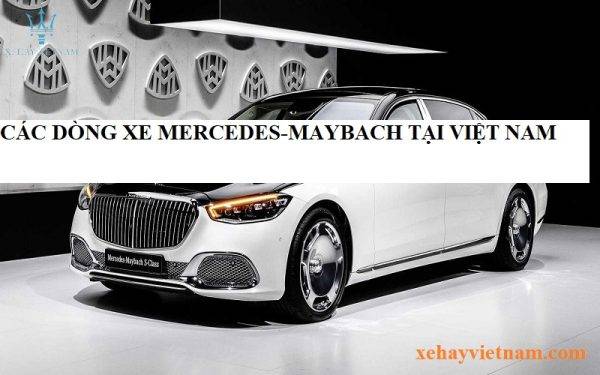 cac-dong-xe-mercedes-maybach-tai-viet-nam