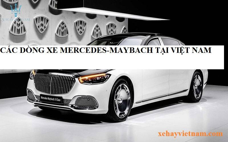 Tổng Hợp Các Dòng Xe Mercedes-Maybach Tại Việt Nam 2023