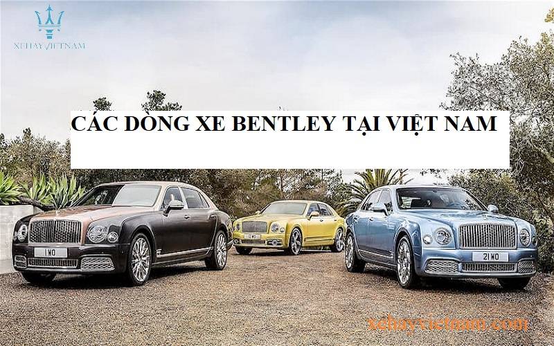 Mua bán xe Bentley Mulsanne cũ mới giá tốt tháng 082023  xesangcomvn
