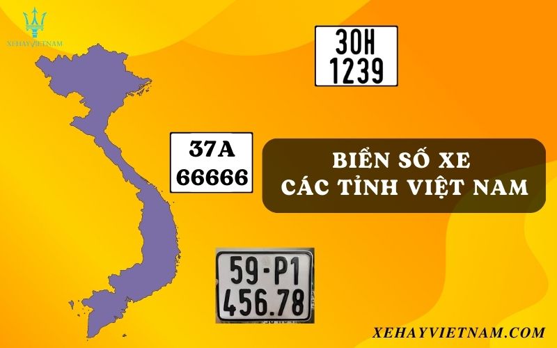 Tổng hợp biển số xe các tỉnh và thành phố